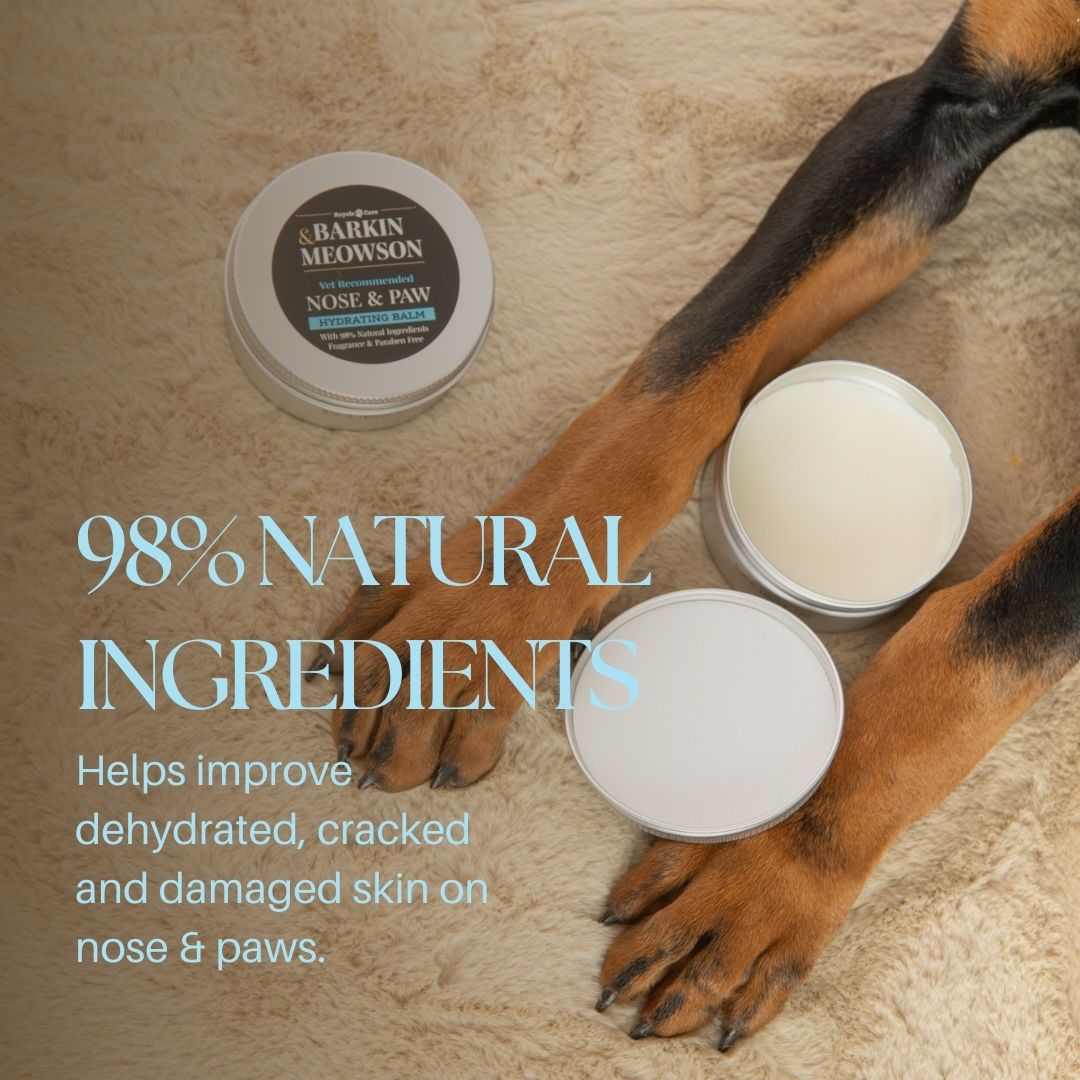Dog's paw with a container of Barking Mad Meowson Nose & Paw balm on a wooden surface.