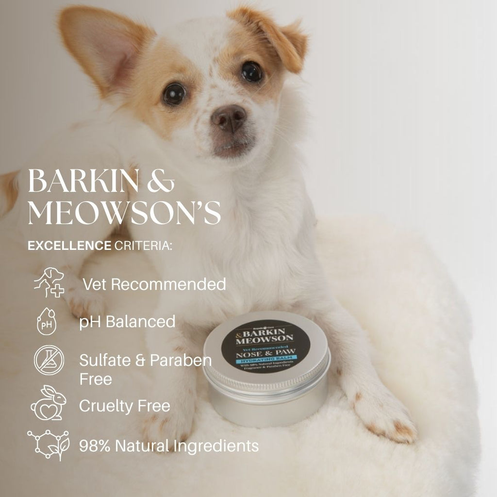 Dog with a jar of 'Barkin & Meowson' pet product on a light background
