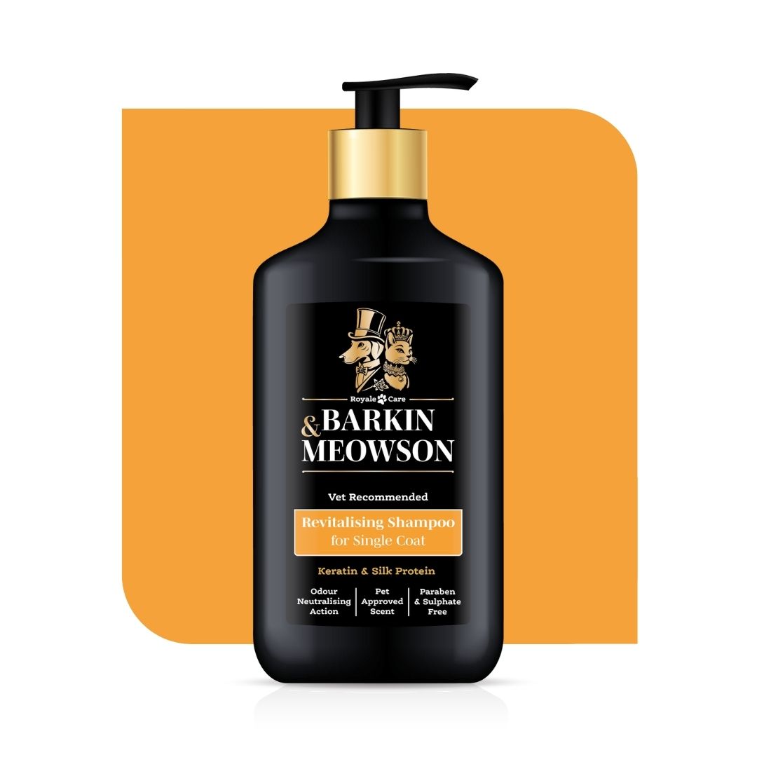 Barkin Meowson shampoo bottle on an orange background