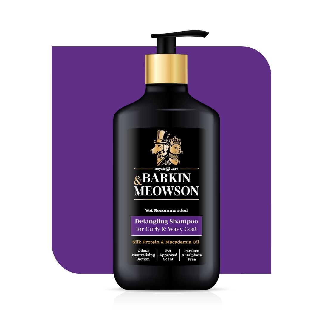 Barkin Meowson detangling shampoo bottle with gold pump on a purple background