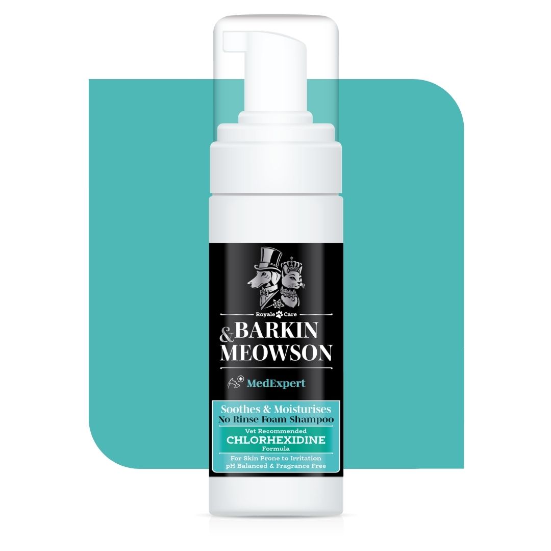 Barkin Meowson pet shampoo bottle on a teal background