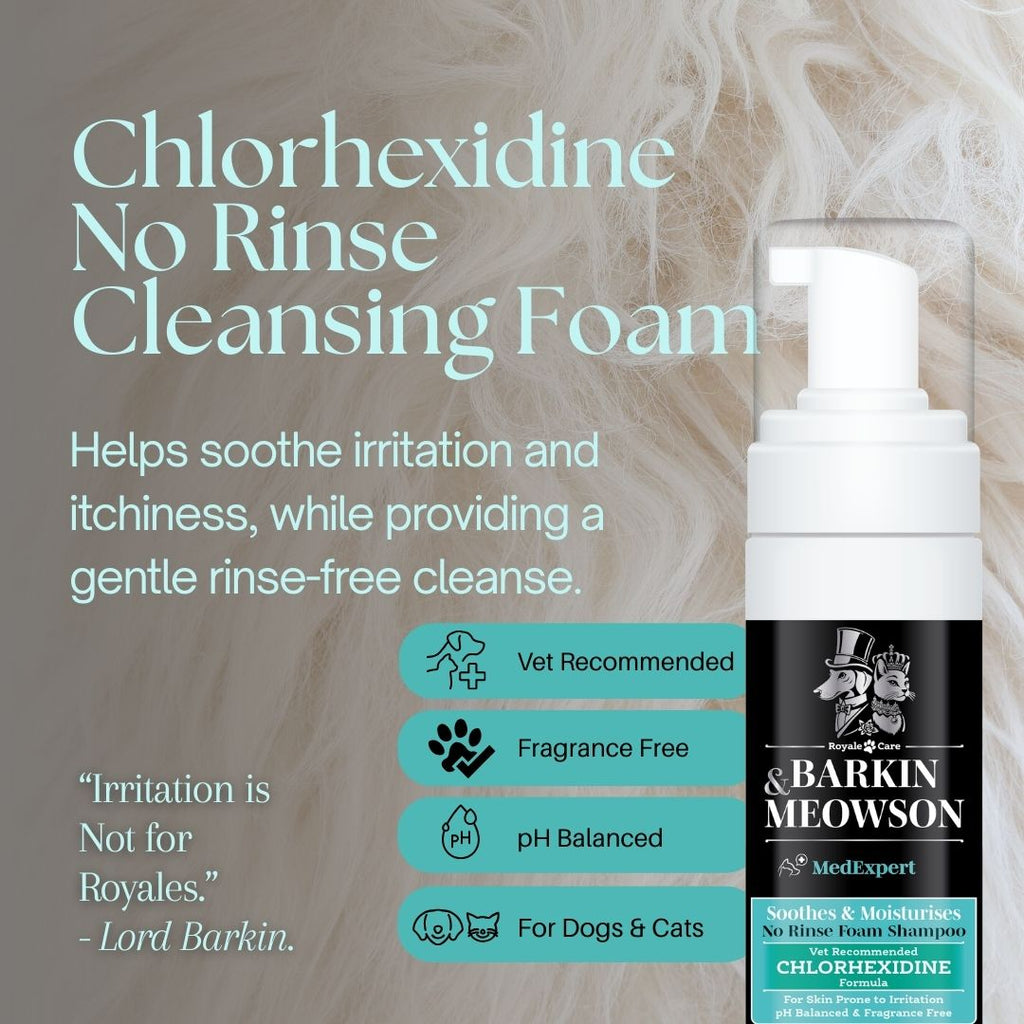 Barkin Meowson Chlorhexidine No Rinse Cleansing Foam bottle with text on a textured background