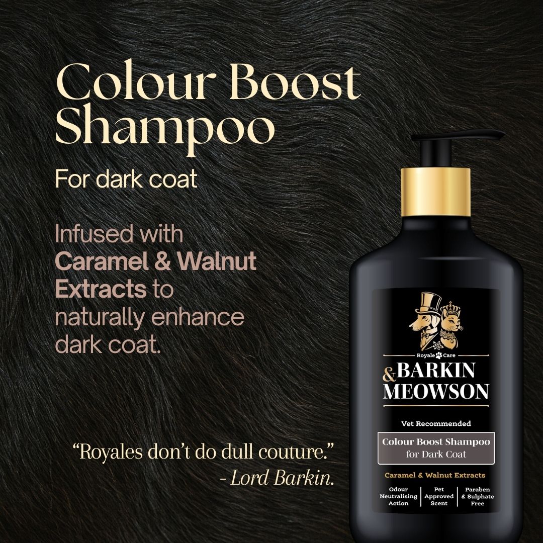 Dark Coat Shampoo