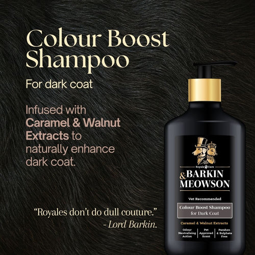 Dark Coat Shampoo