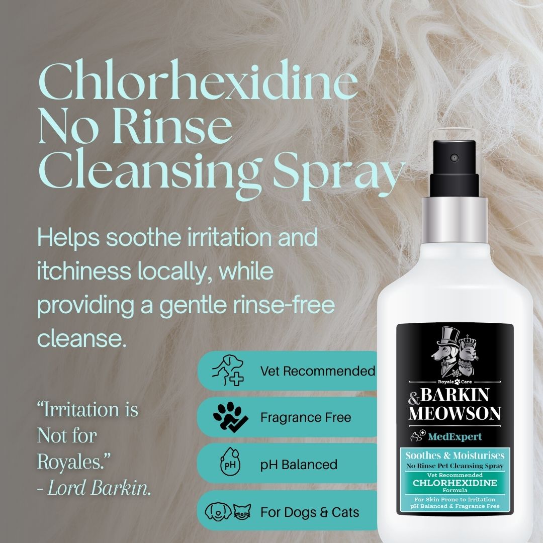 Barkin' Meowson Chlorhexidine No Rinse Cleansing Spray bottle with text on a blurred fur background