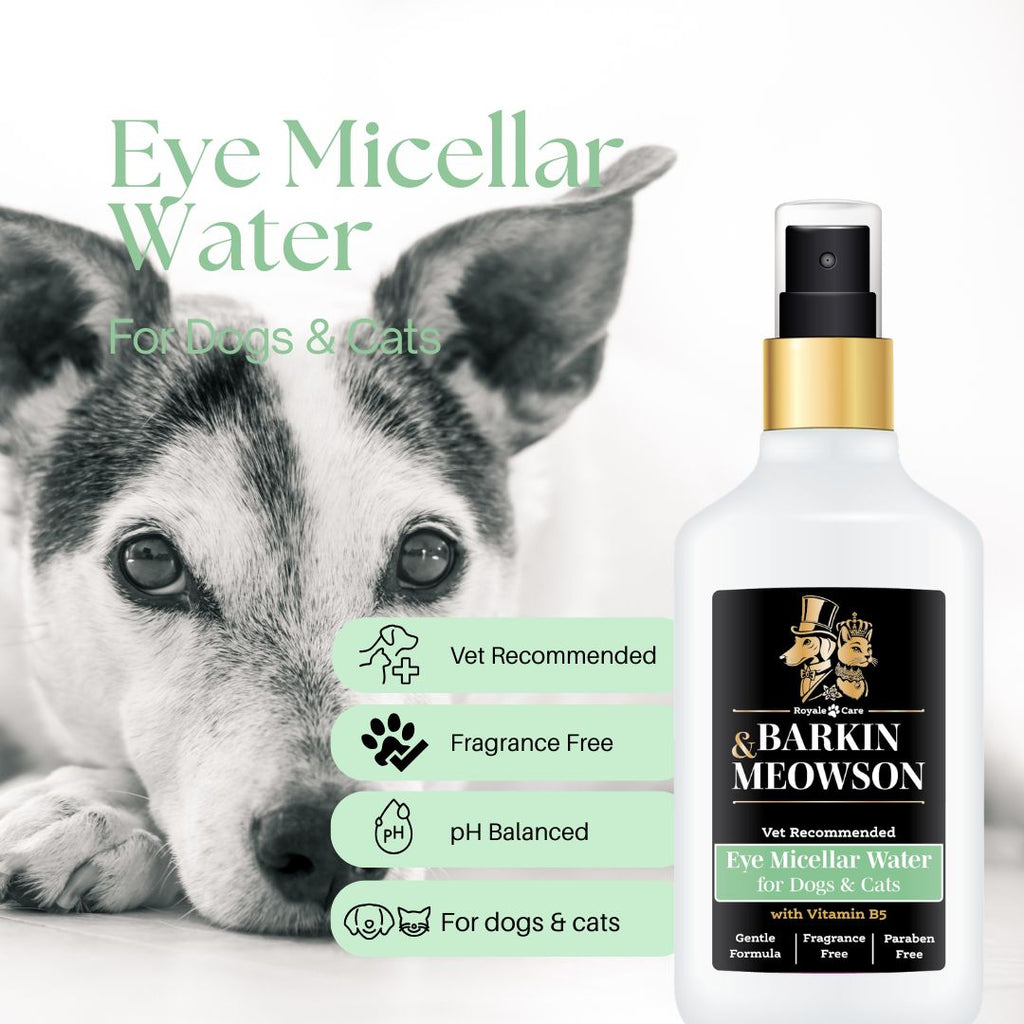 Micellar Water for Eyes