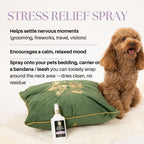 Dog sitting next to a green pillow with a bottle of stress relief spray on a white background