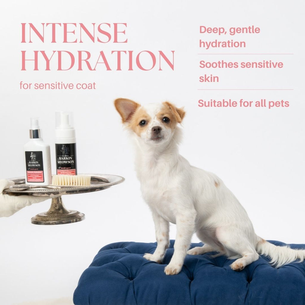 Dog sitting on a blue cushion with pet care products and text about intense hydration for sensitive coat.