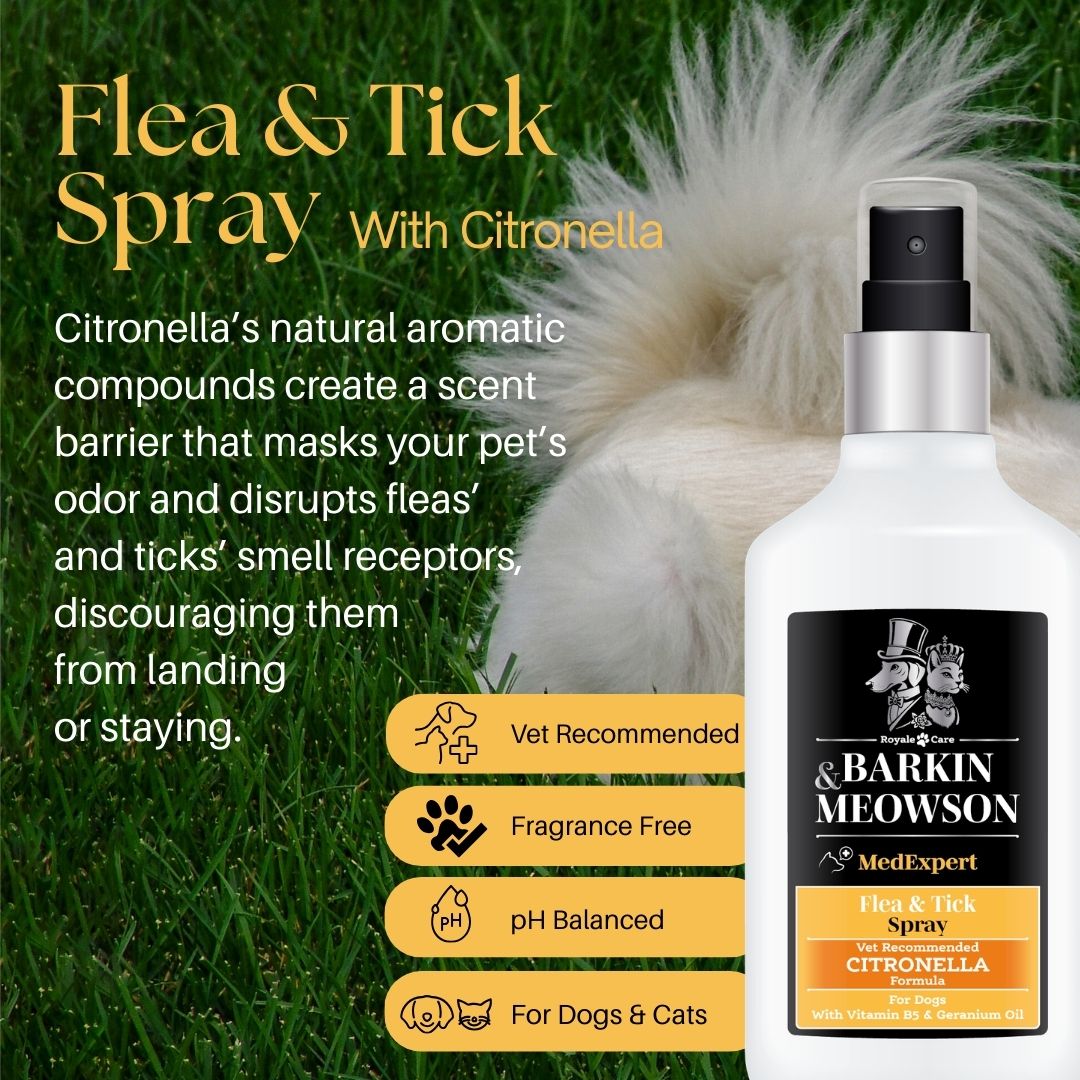 Flea & Tick Spray