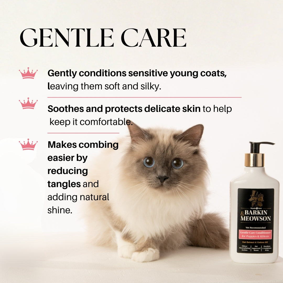 Cat with a bottle of Barking Mad shampoo and conditioner on a white background