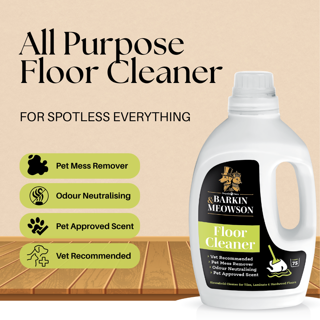 Floor Cleaner
