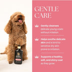 Dog standing next to a bottle of Johnson's Baby Shampoo with text about gentle care on a pink background