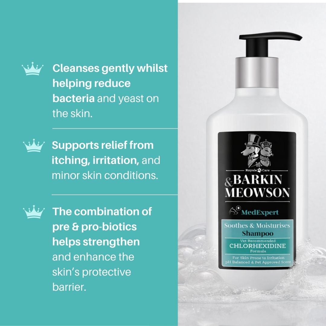 Barkin & Meowson shampoo bottle with product benefits on a teal and gray background