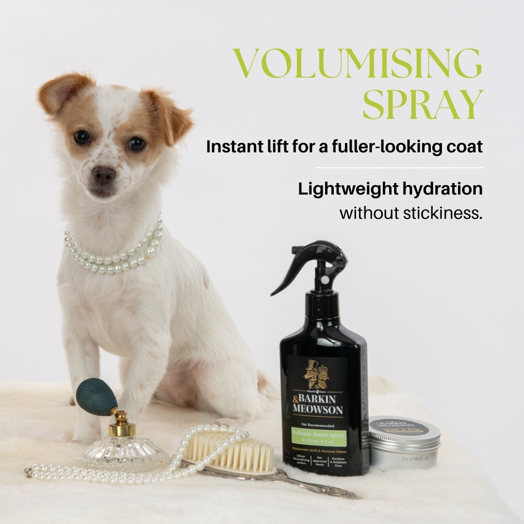 Dog with grooming products and a bottle labeled 'Barkin' on a white background