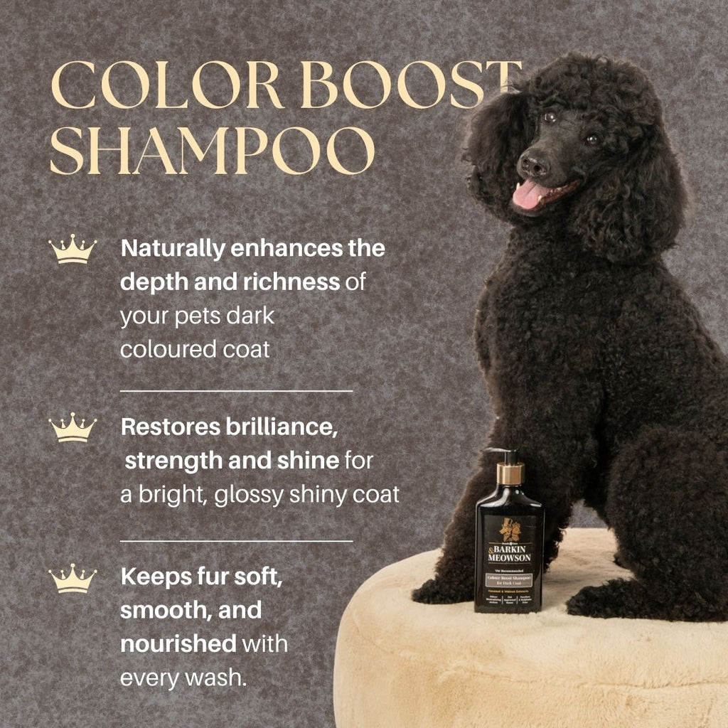 Dark Coat Shampoo