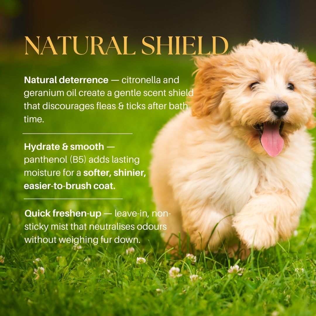 Flea & Tick Spray