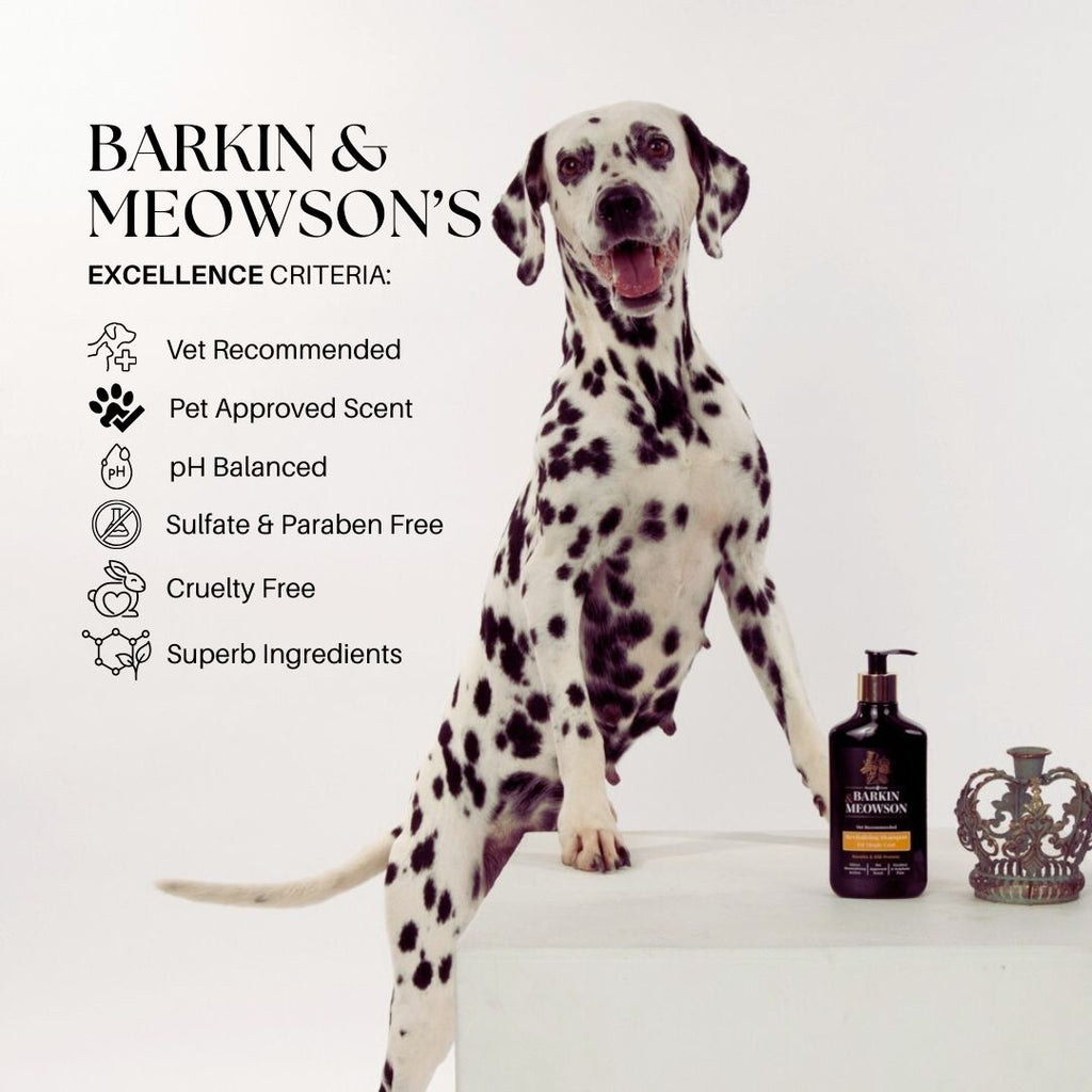 Dalmatian dog with a bottle of 'Barkin & Meowson's' pet product on a white background