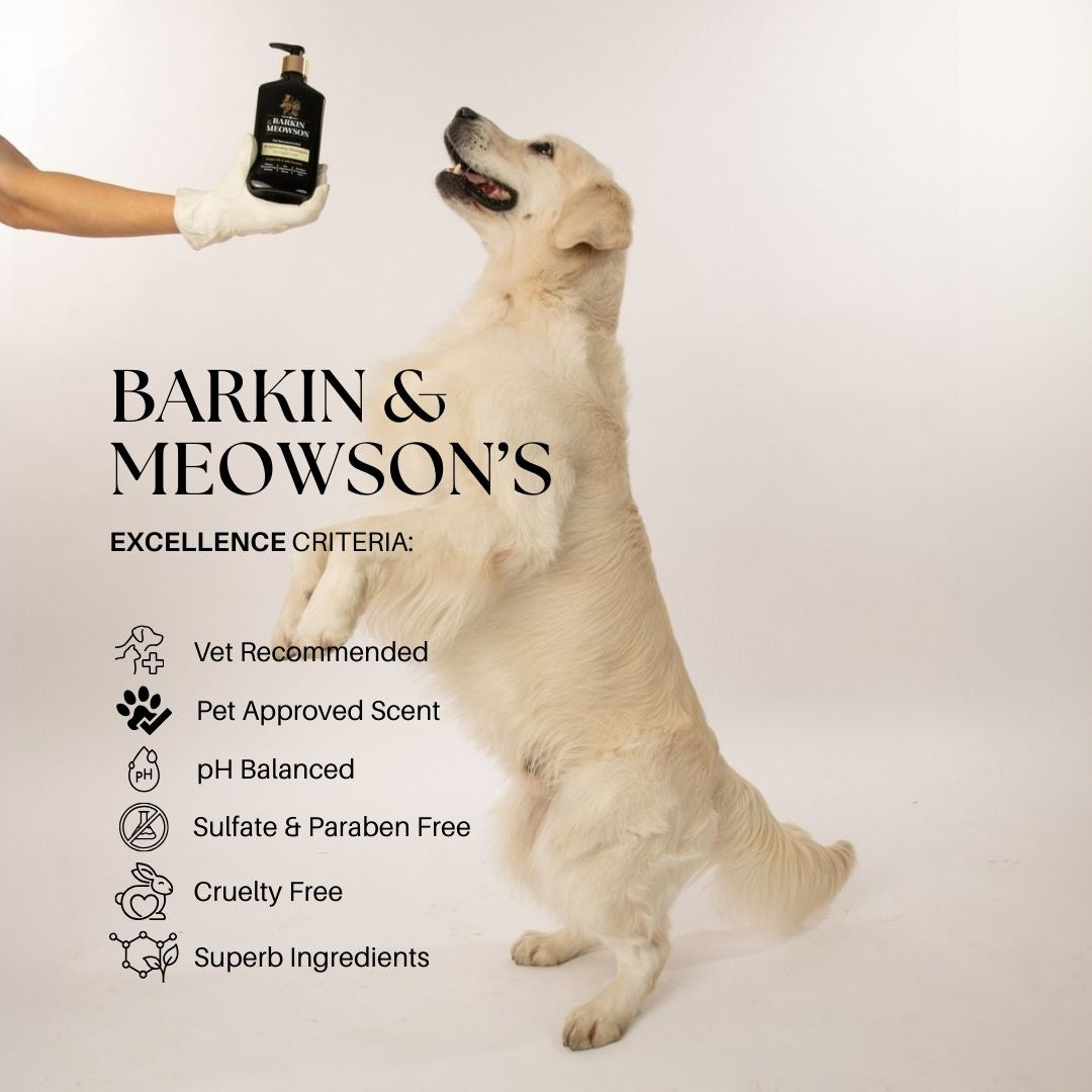 Dog standing on its hind legs reaching for a bottle of shampoo held by a person, with text about product criteria.