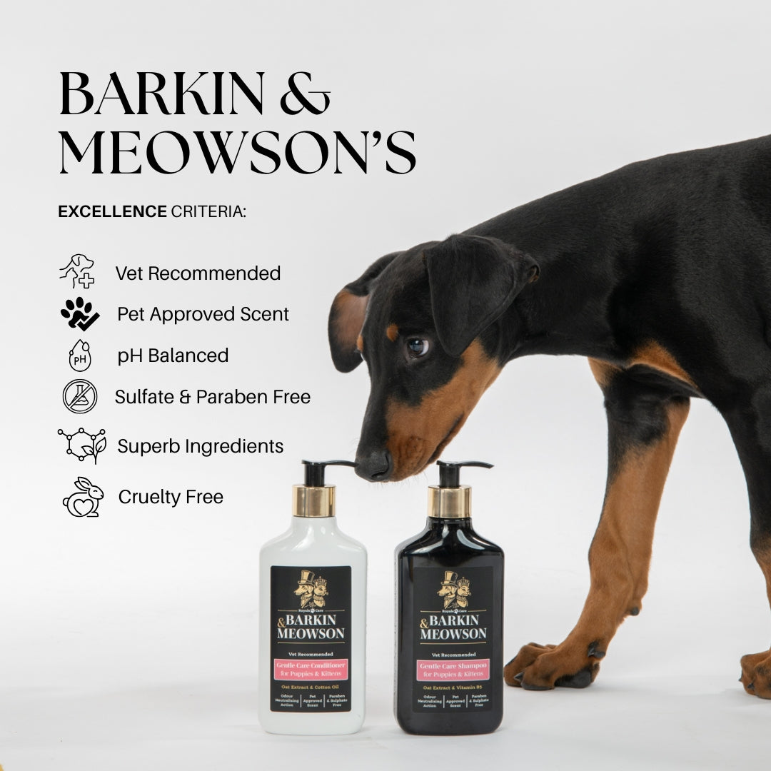 Dog interacting with Barkin & Meowson's pet care products on a white background