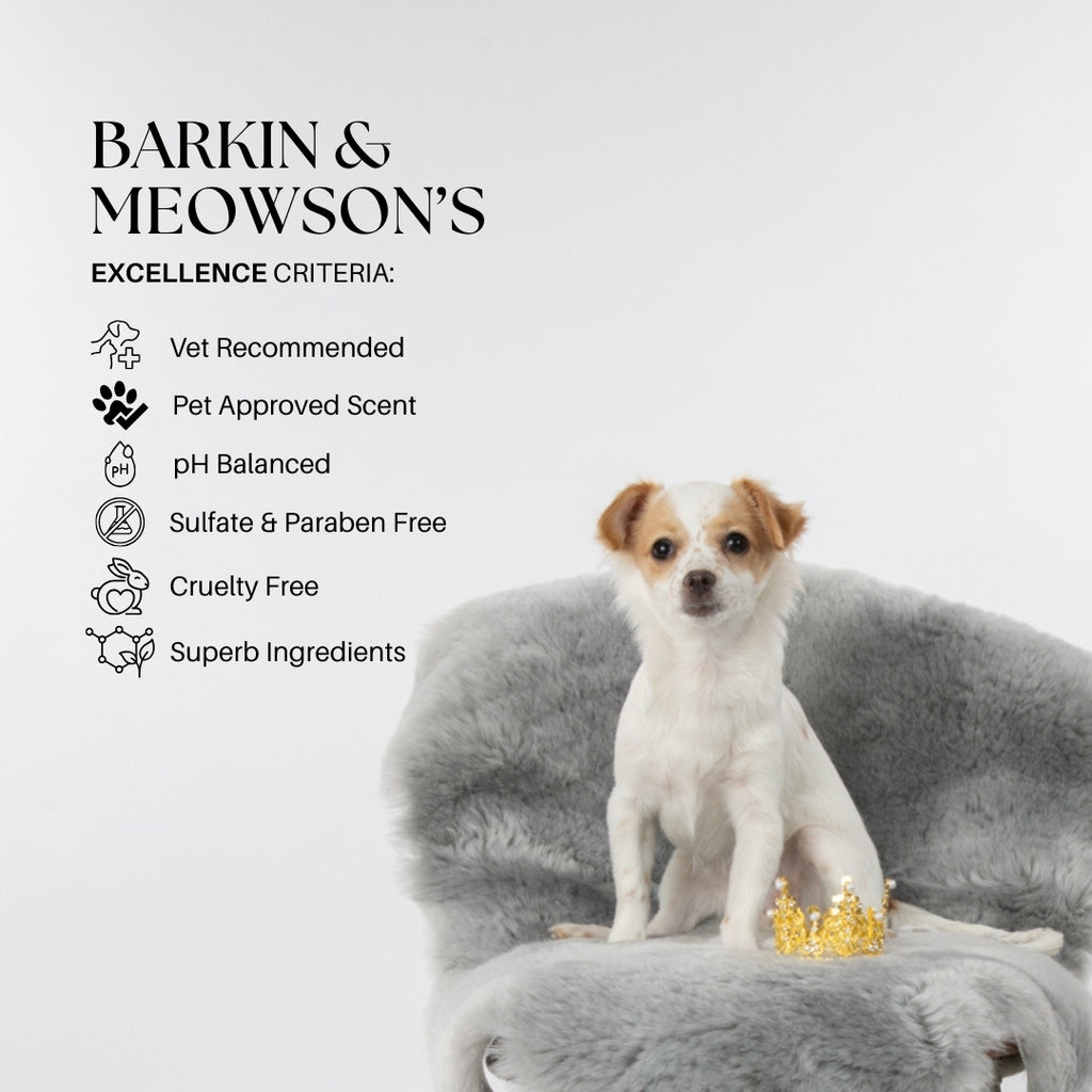 Dog sitting on a gray cushion with a crown, surrounded by text about pet product criteria.