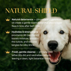 Flea & Tick Shampoo