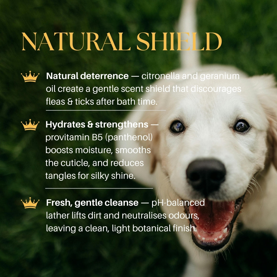 Flea & Tick Shampoo