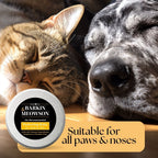 Dog and cat sleeping next to each other