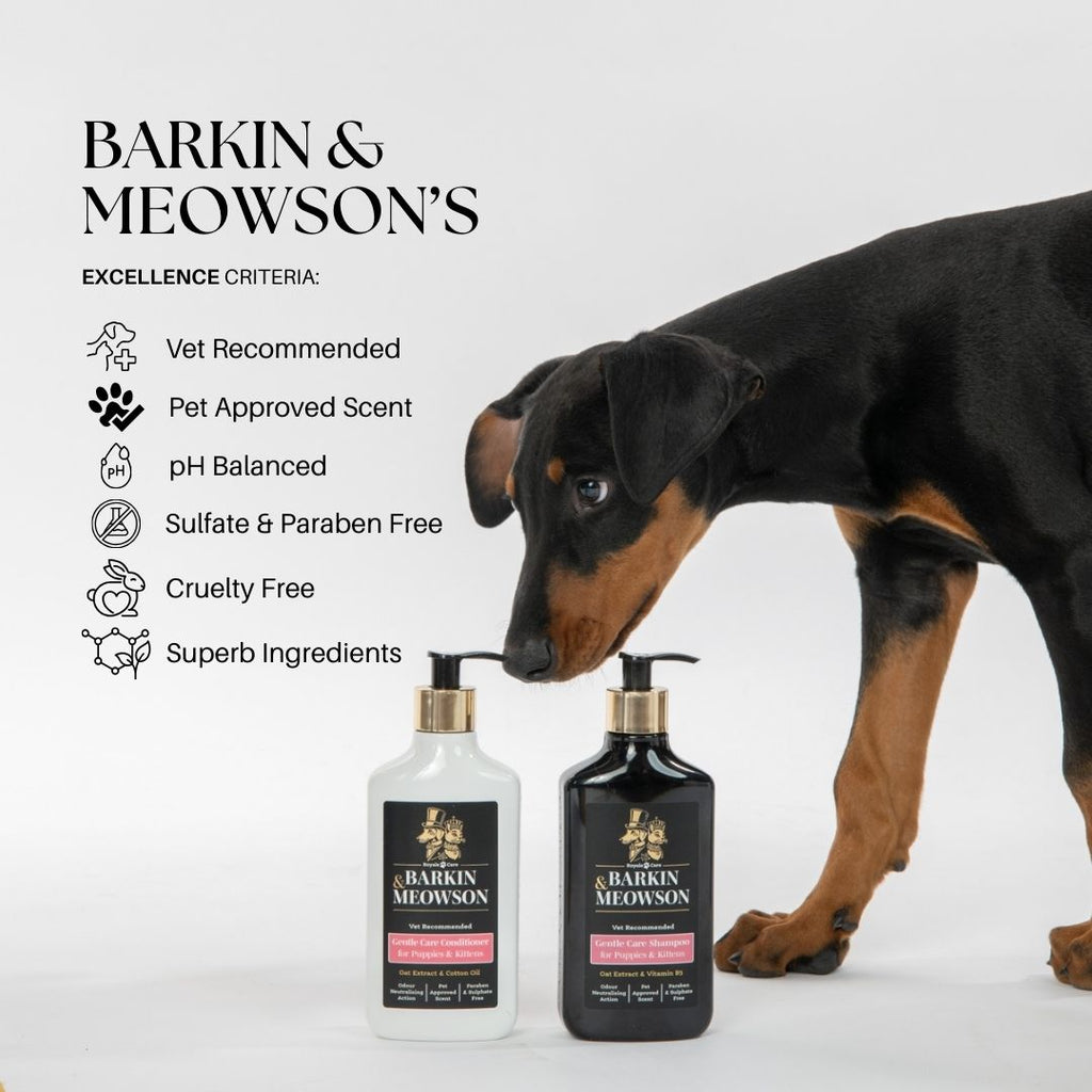 Dog interacting with Barkin & Meowson's pet care products on a white background