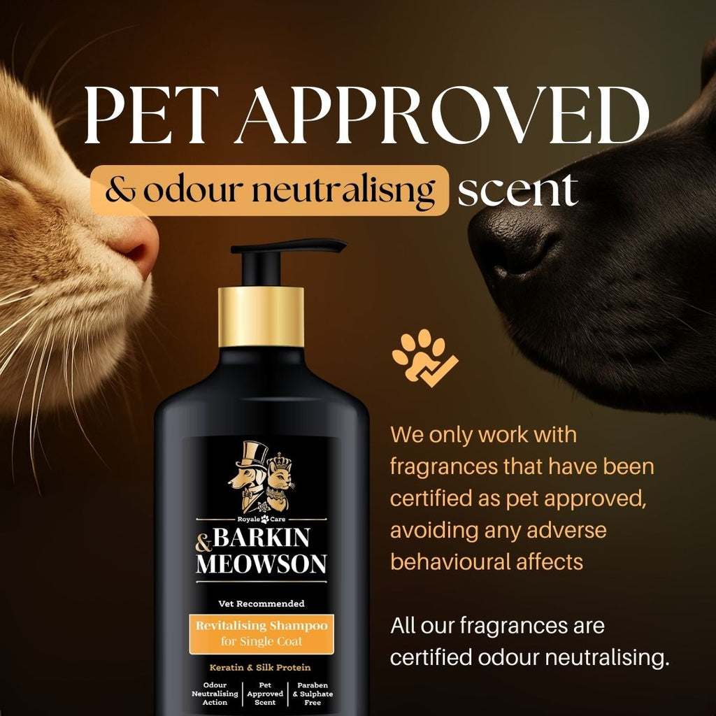 Barkin & Meowson shampoo bottle with a cat and dog sniffing it, on a brown background.