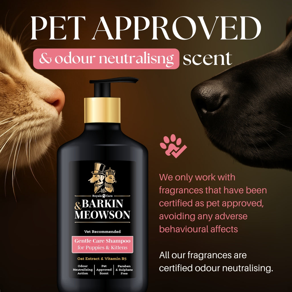 Barkin & Meowson pet shampoo bottle with a cat and dog sniffing it, on a brown background.