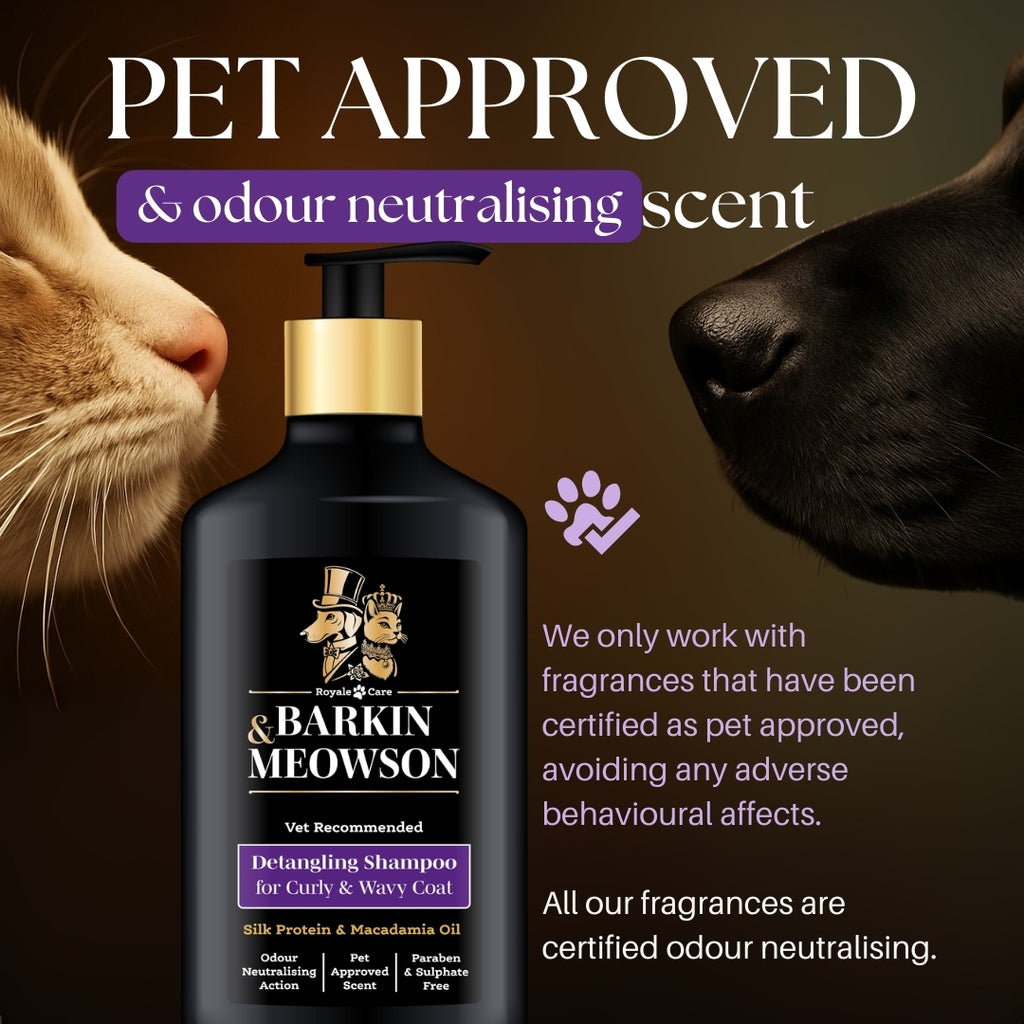 Barkin Meowson shampoo bottle with a cat and dog sniffing each other on a dark background