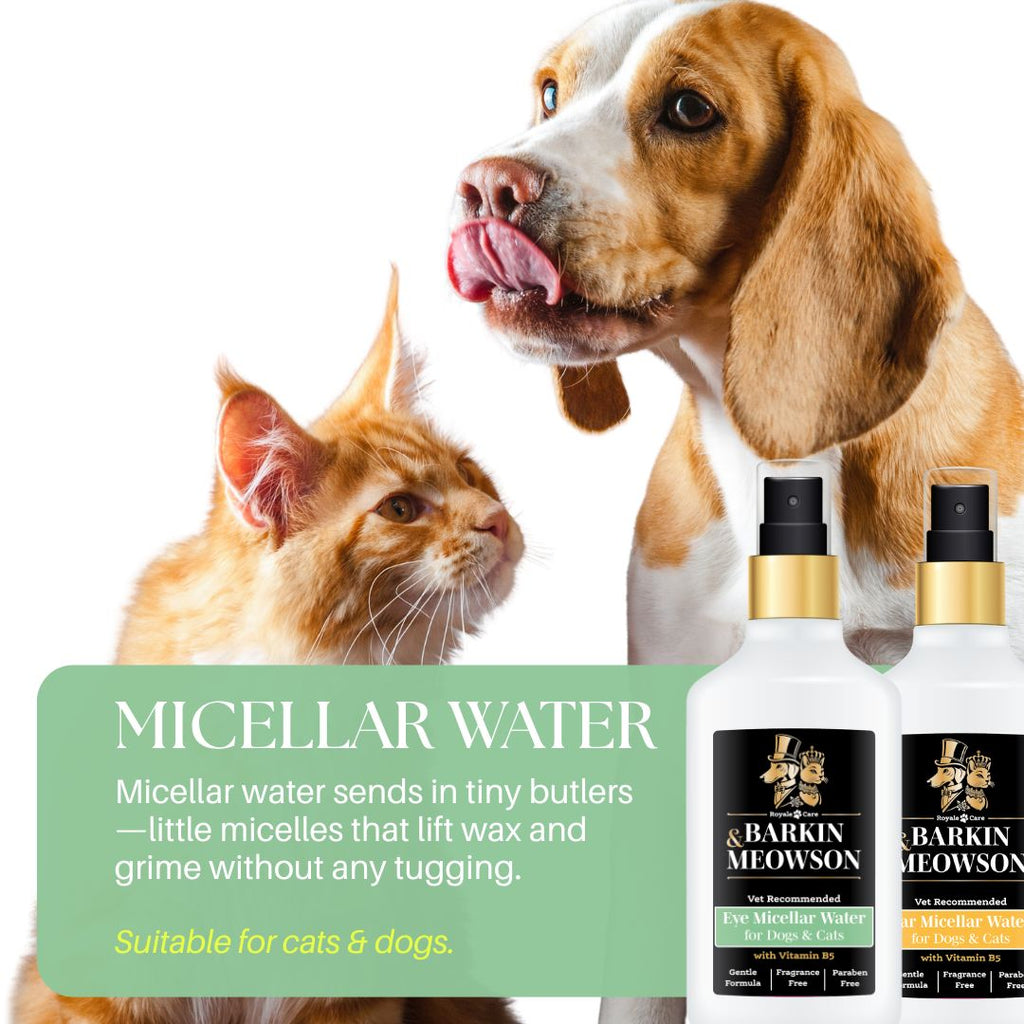 Micellar Water for Eyes