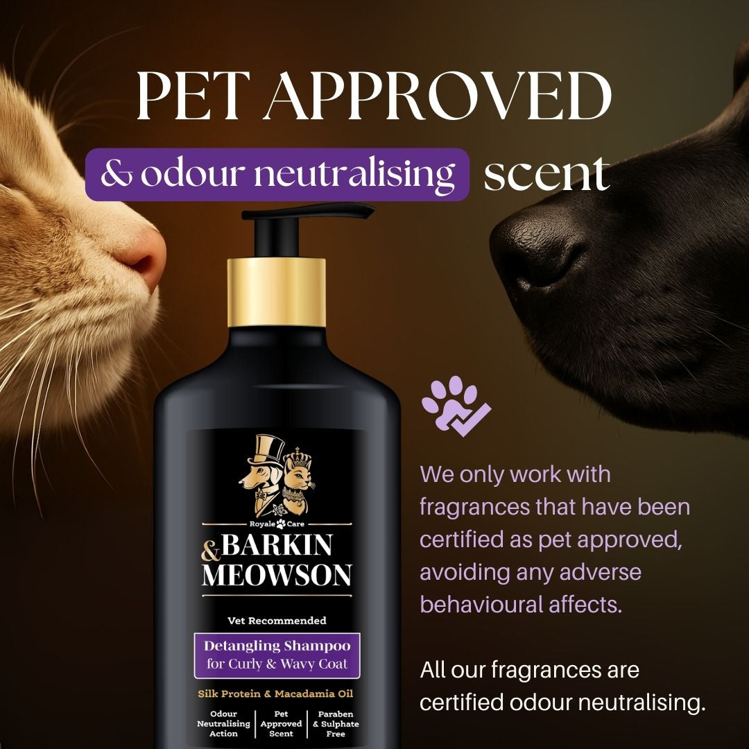 Barkin' Meowson shampoo bottle with a cat and dog sniffing it, on a dark background.