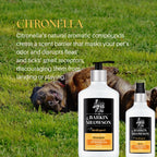 Flea & Tick Shampoo