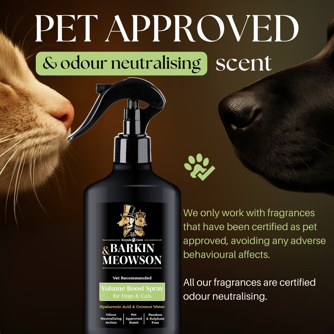 Barkin' Meowson volume boost spray with a cat and dog sniffing it, on a brown background.