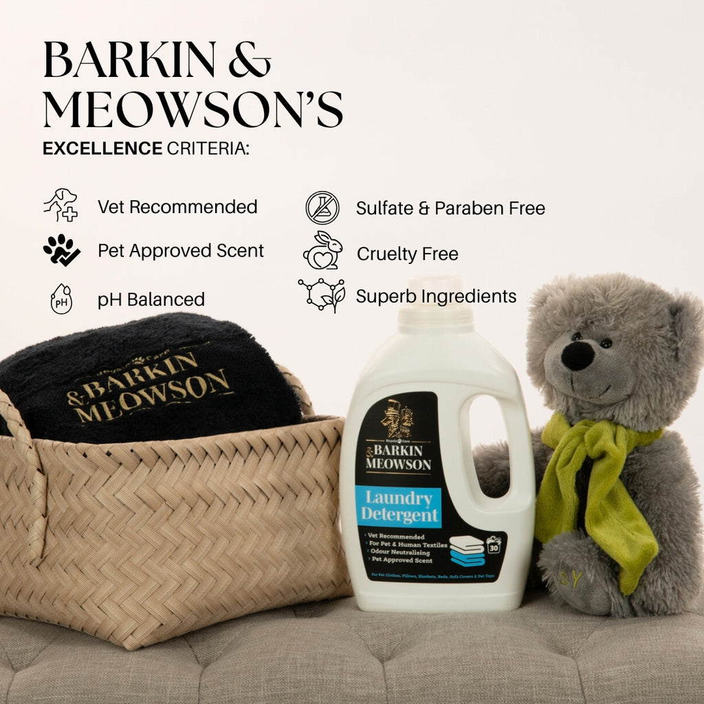 Barkin & Meowson's laundry detergent bottle with a teddy bear and basket on a couch.