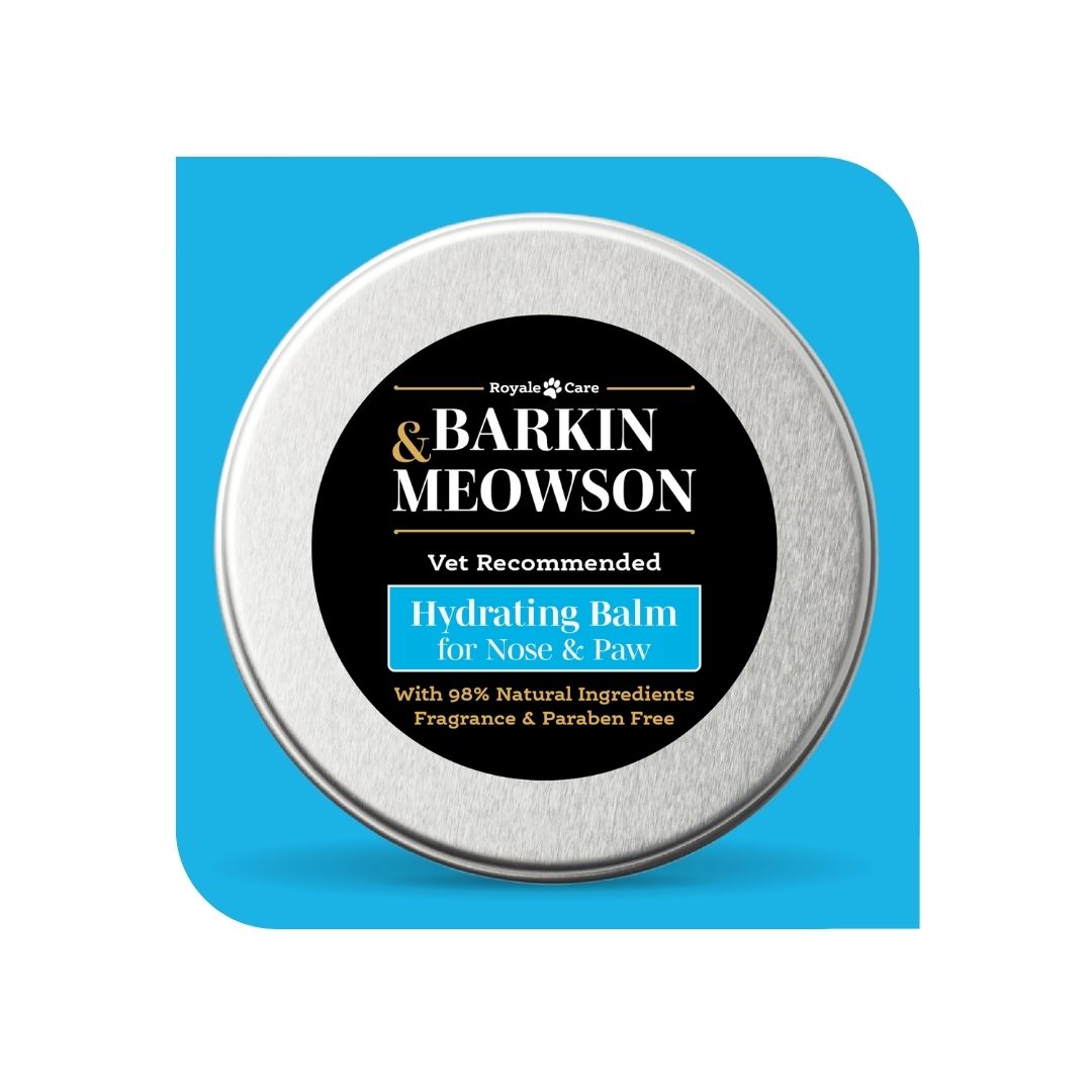 Barkin Meowson hydrating balm tin on a blue background