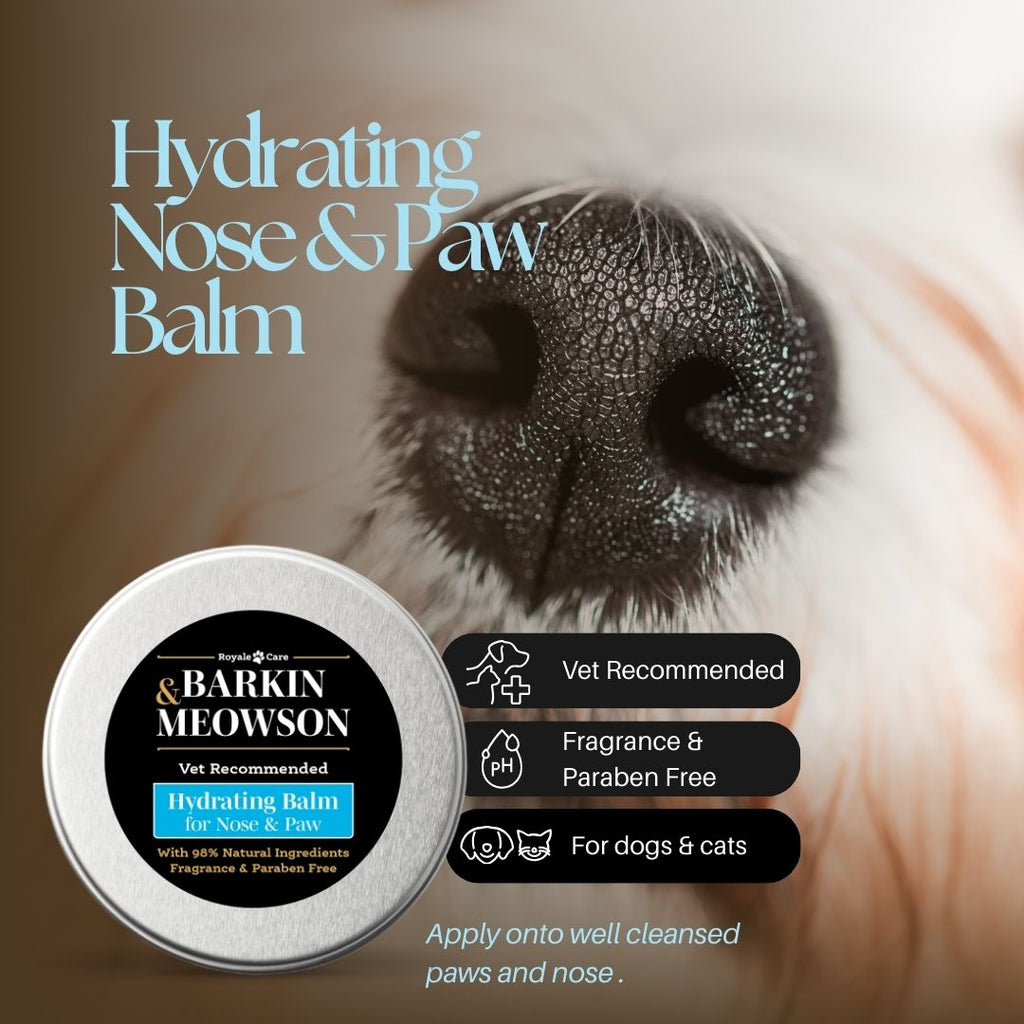 Barkin Meowson hydrating nose and paw balm with a close-up of a dog's nose and paw.