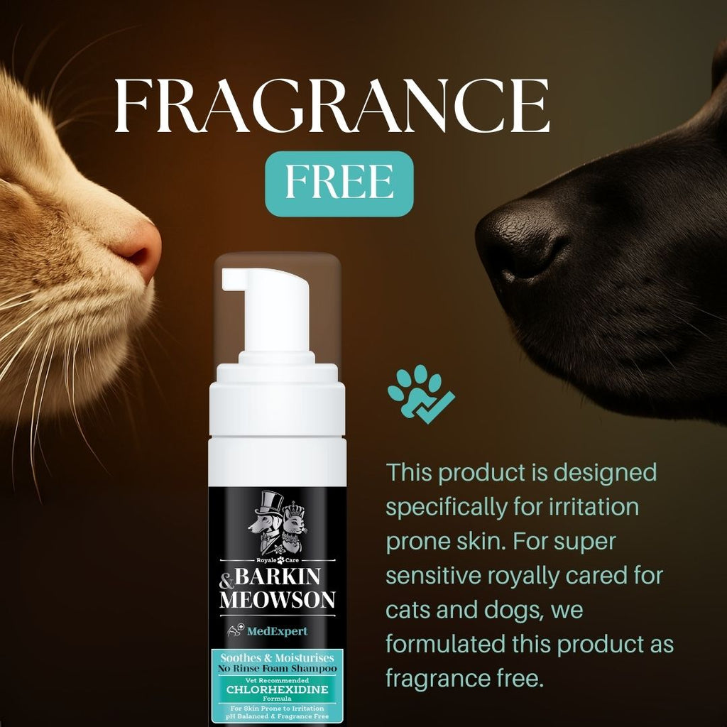Barking & Meowson shampoo bottle with a cat and dog sniffing it, on a dark background.