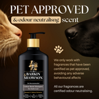 a cat and a dog sniffing a shampoo bottle