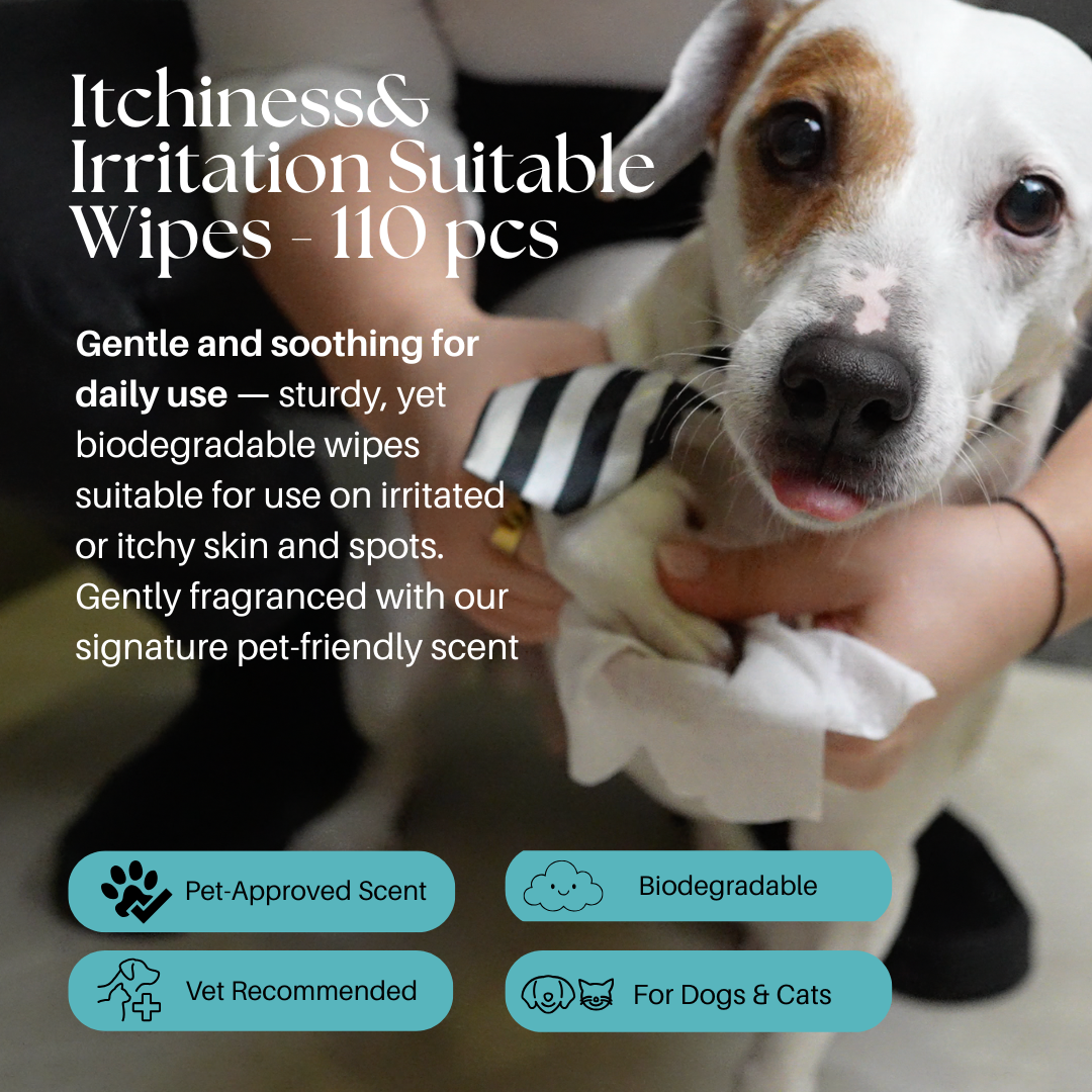 NEW Chlorhexidine Soothing Pet Wipes for Itchy Skin 110pcs