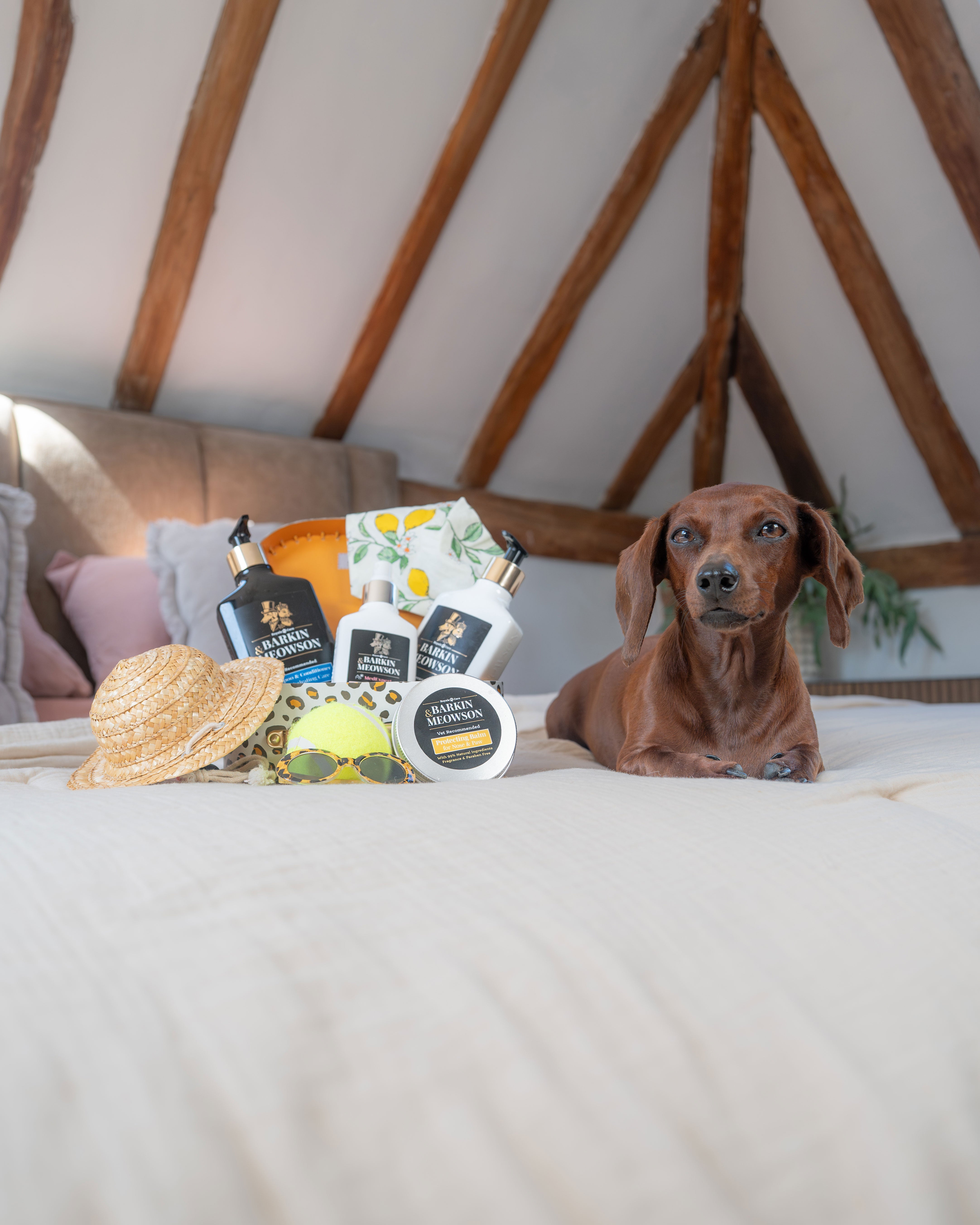 A dachshund lies on a cream-colored bed in a yurt-like room with exposed wooden beams, next to a curated gift set of Bath & Body Works products including a straw hat, sunscreen, lotion, and body wash.